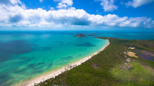 tropical beach drone